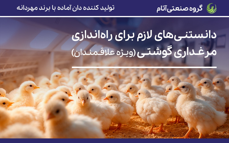 راه اندازی مرغداری | دانستنی‌های مقدماتی